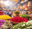 The Ultimate Flower Guide for Mumbai: Popular Markets, Favourite Blooms & Gifting Tips 